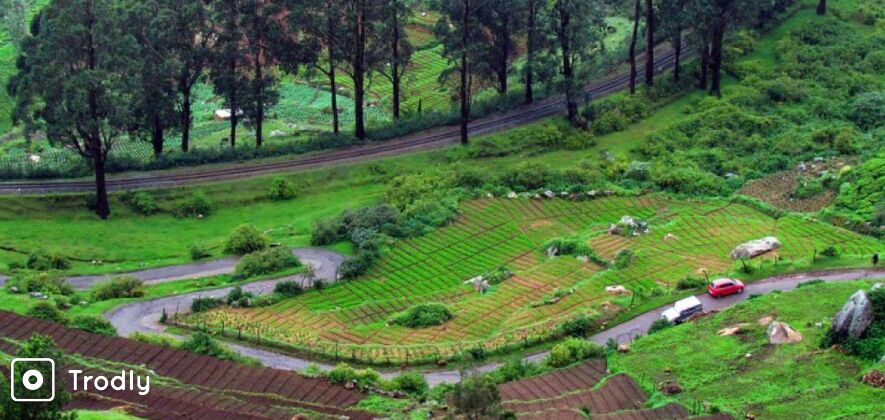 Mysore and Ooty 3-Day Tour from Bangalore