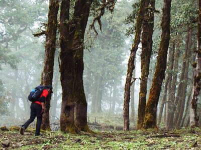 Nag Tibba Trek Ex- Pantwari