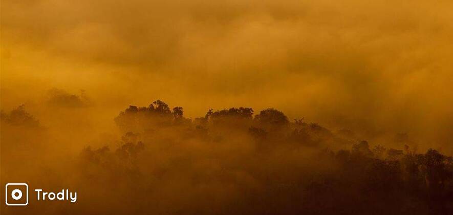 Herping & Macro Photography Tour - COORG