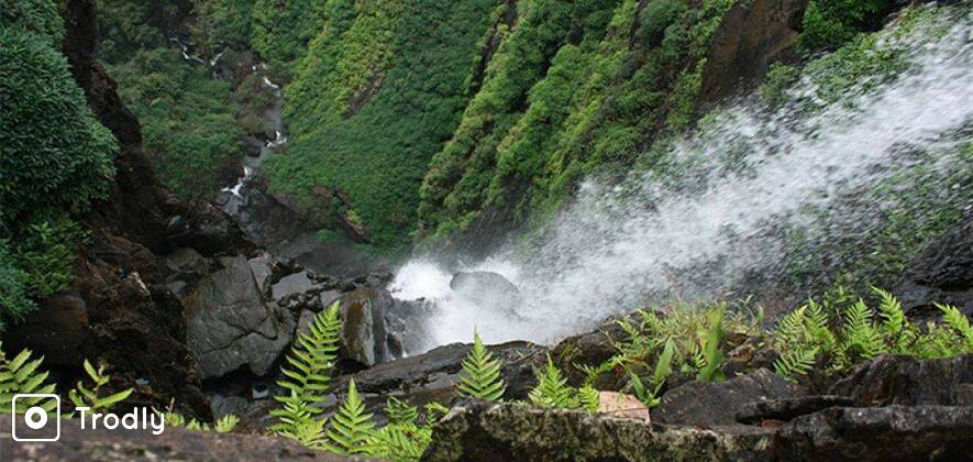 Monsoon Thrills In Agumbe (Extended Weekend Special)