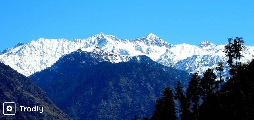 Shilt Hut Trek in Great Himalayan National Park