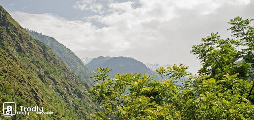 Shilt Hut Trek in Great Himalayan National Park