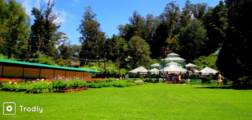 Ooty Local Sightseeing Day Tour from Mysore