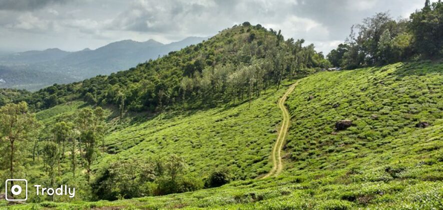Wayanad 2 Days Tour from Mysore
