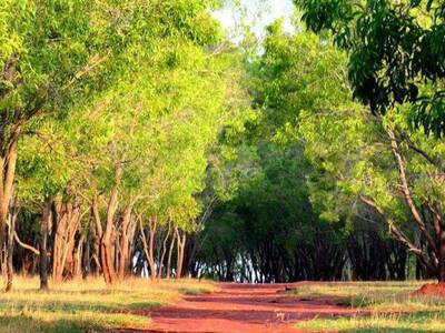 Nrityagram and Countryside Guided Tour of Bangalore