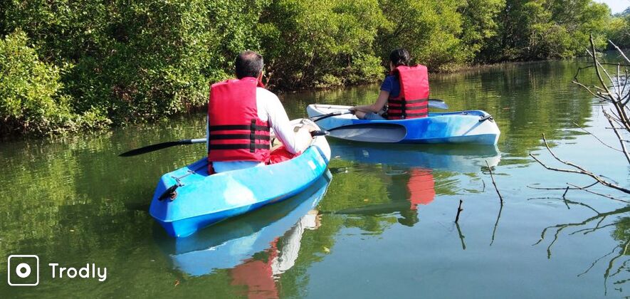 Kayaking on the Backwater of Nerul in Goa