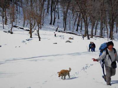 Kedarkantha Trek - Dehradun to Dehradun