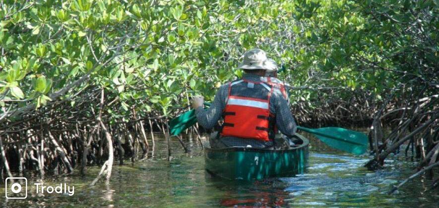 Experience Open Sea and Mangrove Kayaking in Havelock Island
