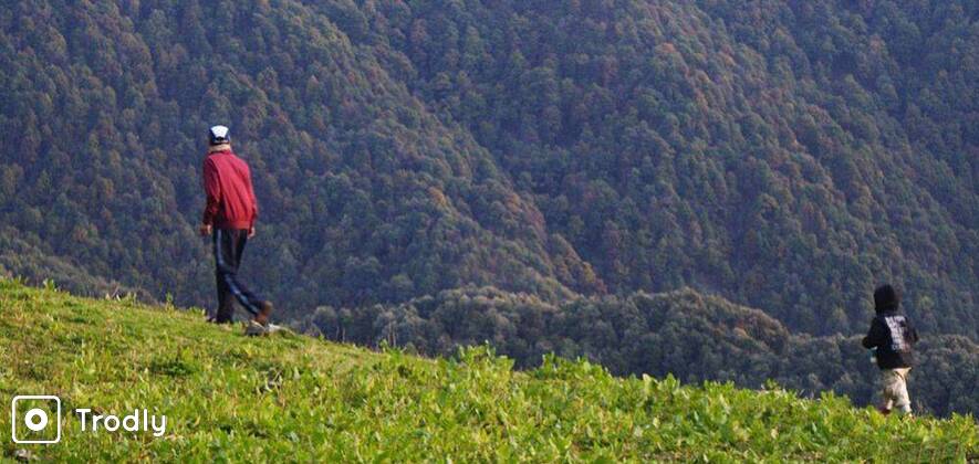 Nag Tibba Trek