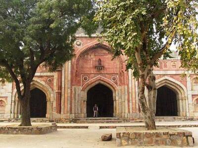 Mehrauli Archaeological Park Guided Walk
