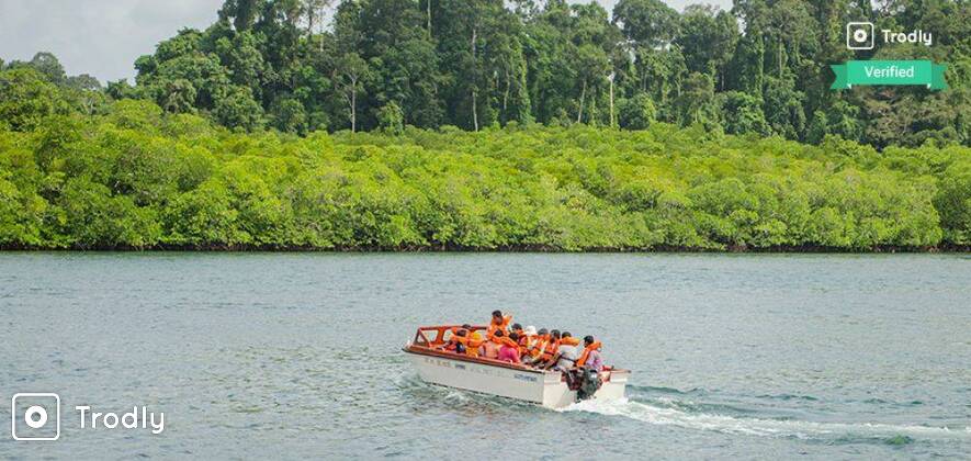 Baratang Island, Limestone Cave and Mud Volcano Tour