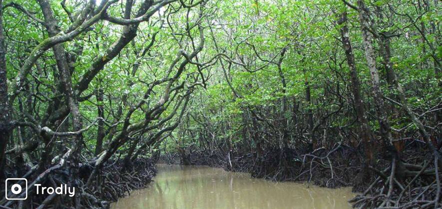 Baratang, Rangat & Long Island Tour