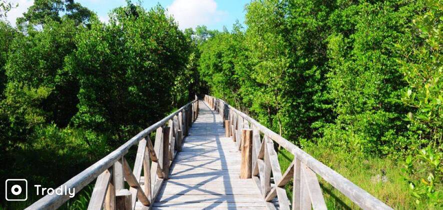 Baratang, Rangat & Long Island Tour
