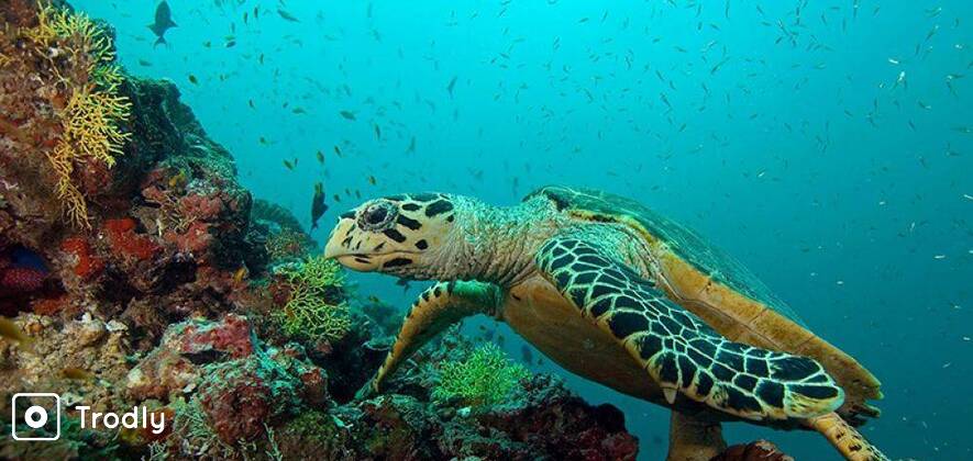 Scuba Diver 2 Day Course