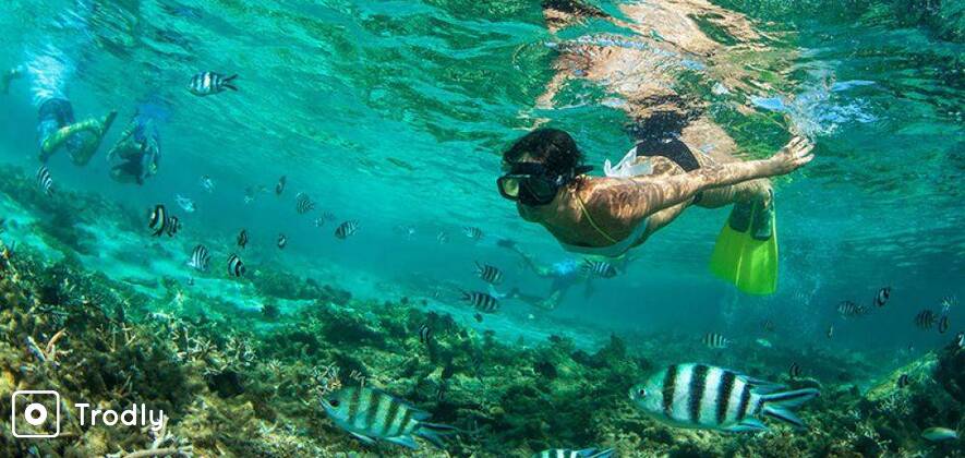 Snorkeling in Andaman