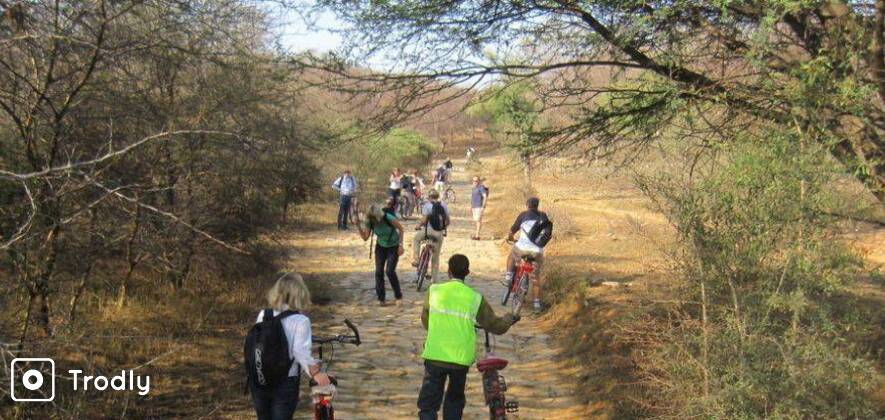Wildlife Bicycle Tour In Jaipur