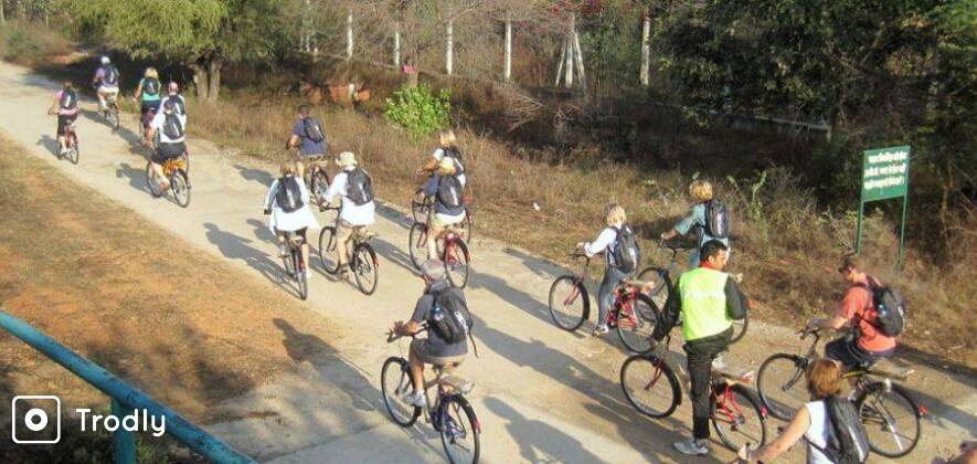 Wildlife Bicycle Tour In Jaipur