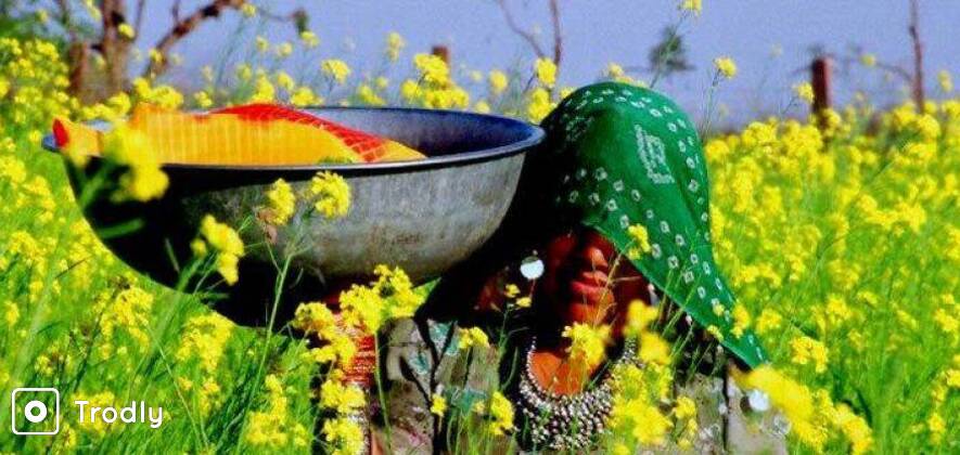 Motor Cycle Day Tour To Sambhar Lake