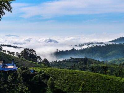 Mysore, Ooty and Coonor 4 Days Sightseeing Tour from Bangalore City