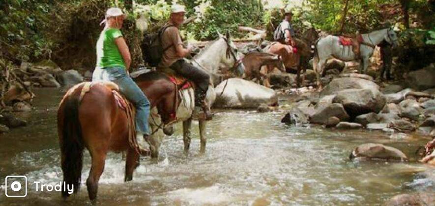 Jaipur Horse Riding Adventure