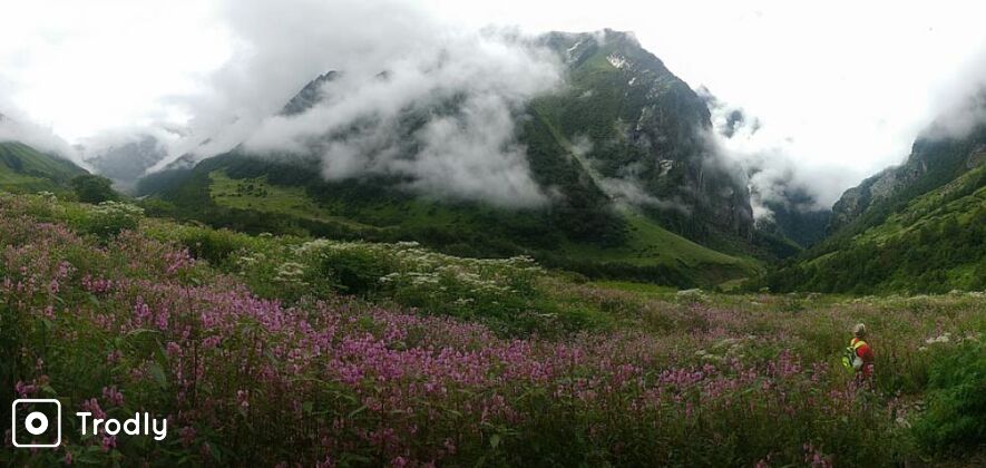 Valley Of Flowers Trek Ex.Dehradun