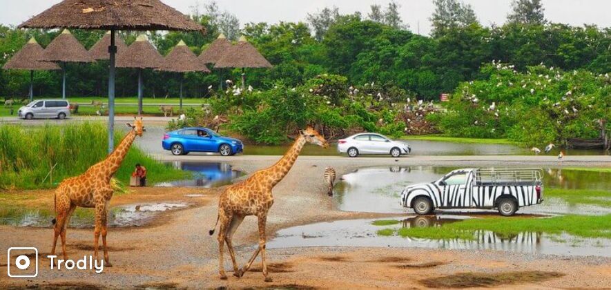 Kanchanaburi Safari Park Day Tour from Bangkok