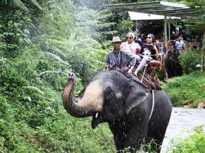 Elephant Camp, Bamboo Rafting and Lisu Hill Tribe Market Experience