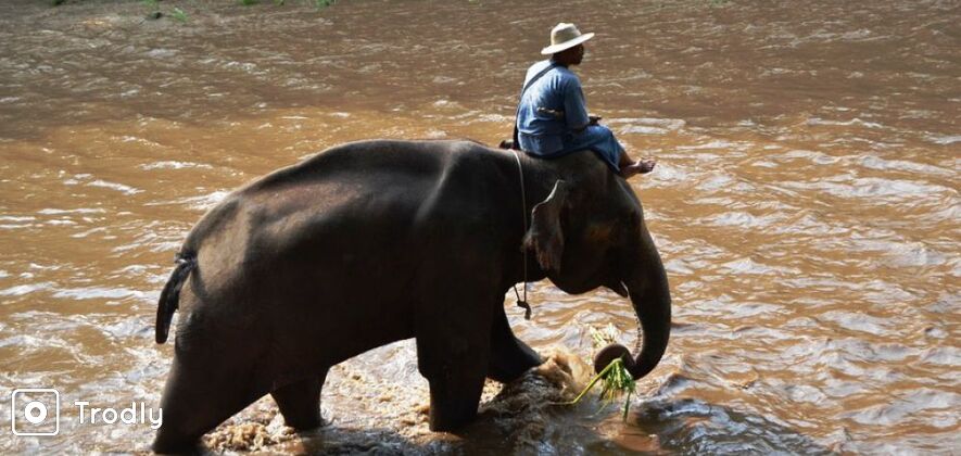 Kanchanaburi 2 Days and 1 Night Historic and Jungle Experience