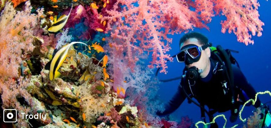 Scuba Diving With Water Sports in Goa