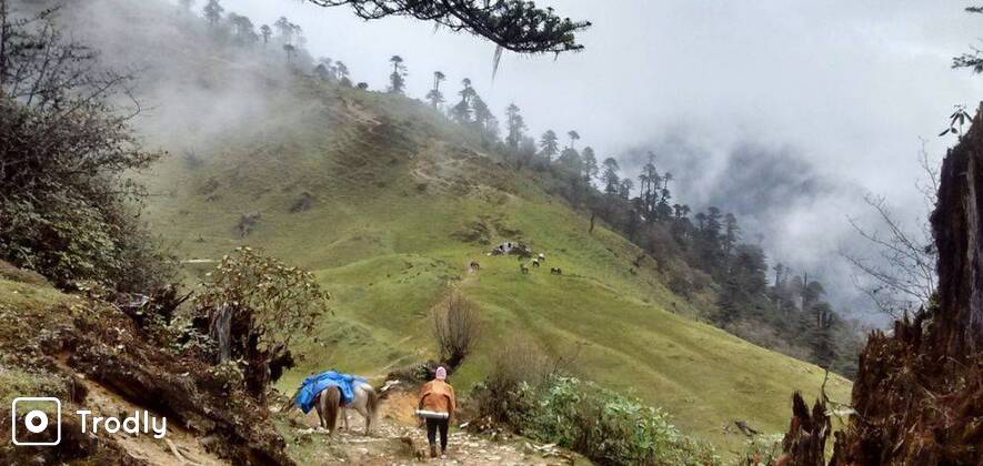 Bailey Trail Trek, Arunachal Pradesh