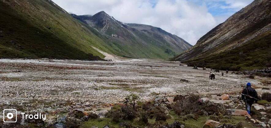 Bailey Trail Trek, Arunachal Pradesh