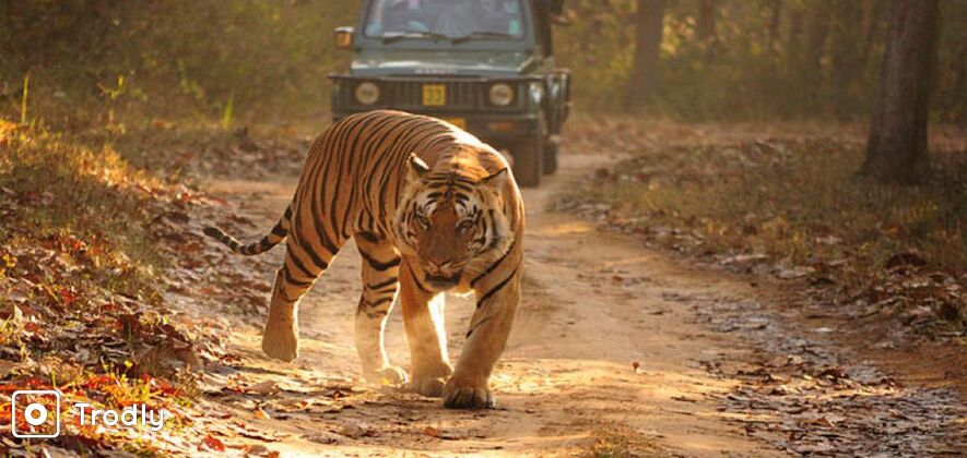 A tour to Similipal National Park