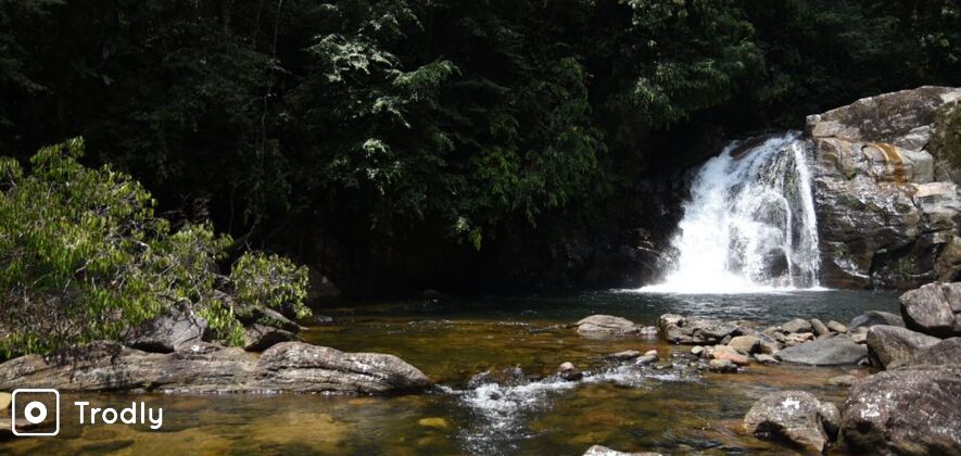 Sinharaja Rainforest 7-Hour Guided Tour