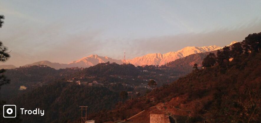 Mcleodganj New Year Camping Experience