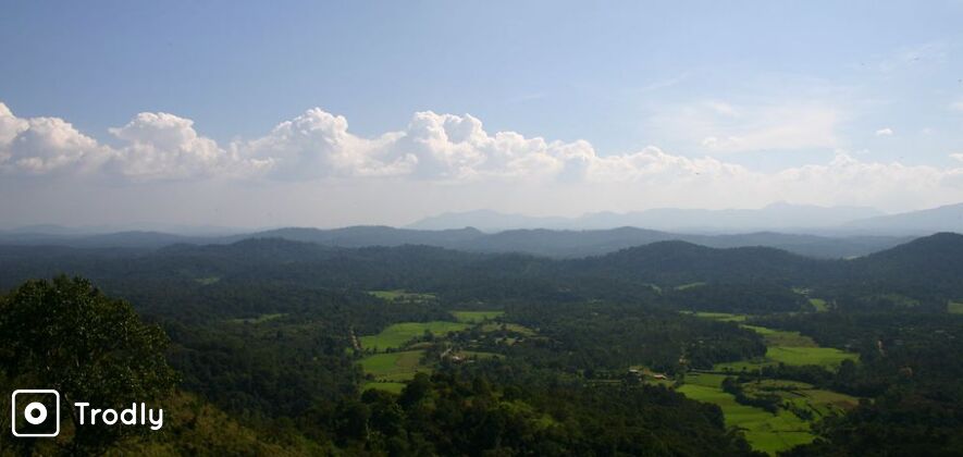 Coorg Sightseeing Day Tour with Abbey Falls