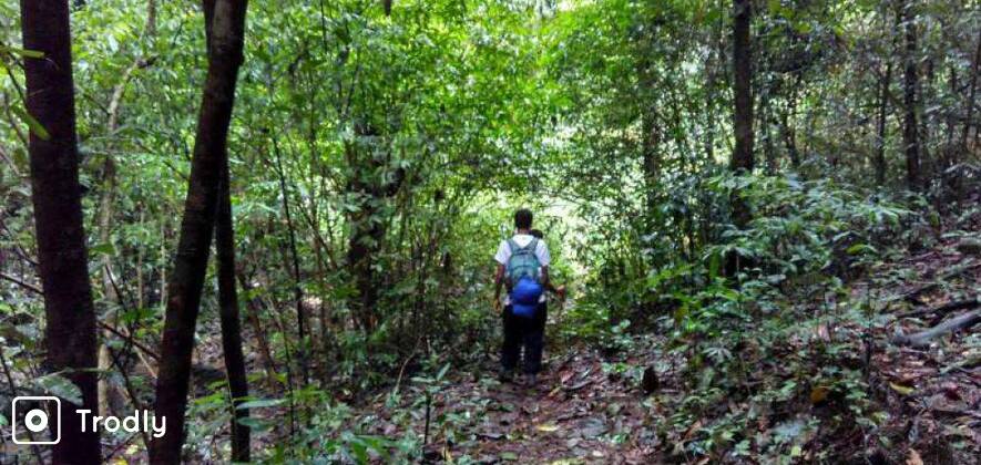 Kopatty Coorg | Dubare Elephant Camp | Water Activities