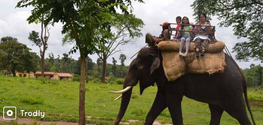 Kopatty Coorg | Dubare Elephant Camp | Water Activities