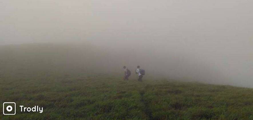 Kopatty Coorg | Dubare Elephant Camp | Water Activities