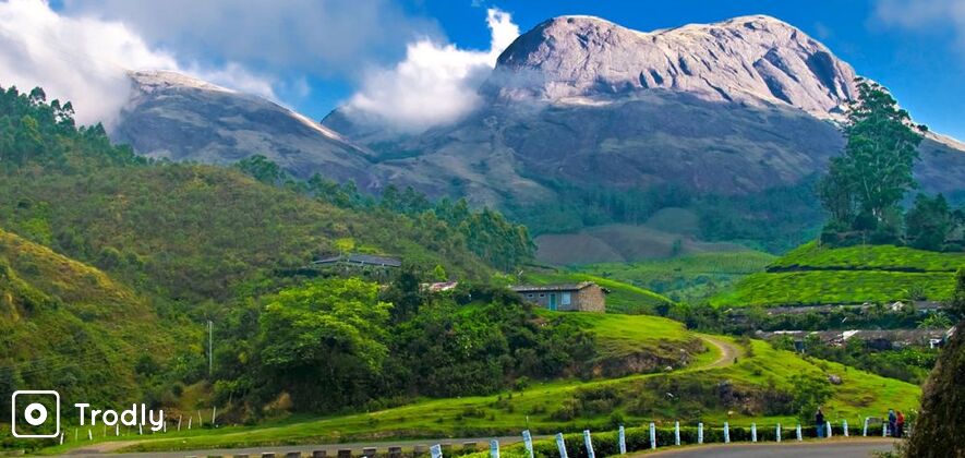 Munnar 2 Day Sightseeing Day Tour from Kochi