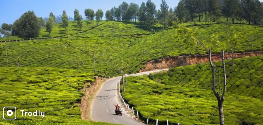 munnar tour packages for 2 days 1 night from kochi