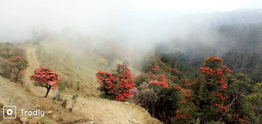 Sandakphu Phalut Trek