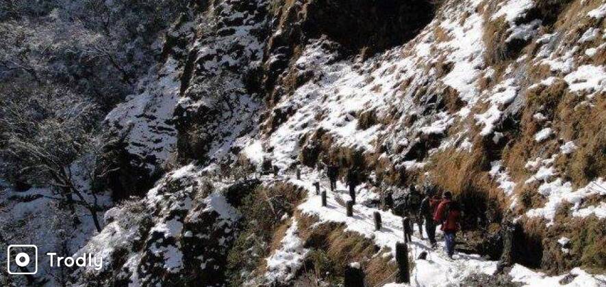 Dodital Trek