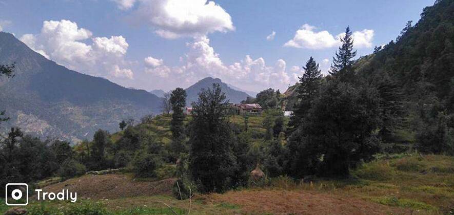 Trek to Pindari Glacier