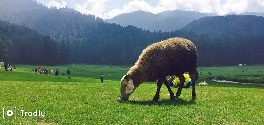 Mini Switzerland: Khajjiar