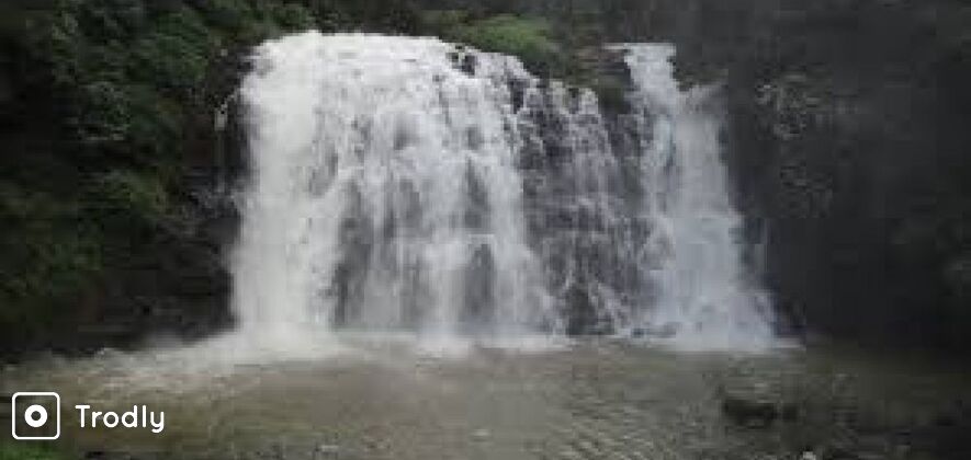 Coorg, Nagarhole and Irruppu Waterfall 3 Days Tour from Mysore