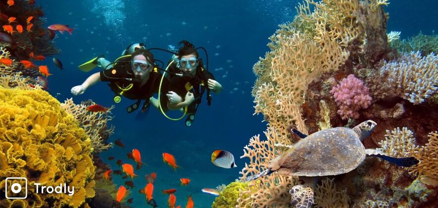 *Grande Island Goa with Scuba Diving Combo Package