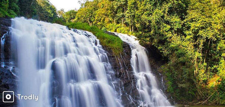 Coorg & Mysore 4 Day 3 Night Sightseeing Tour from Bangalore