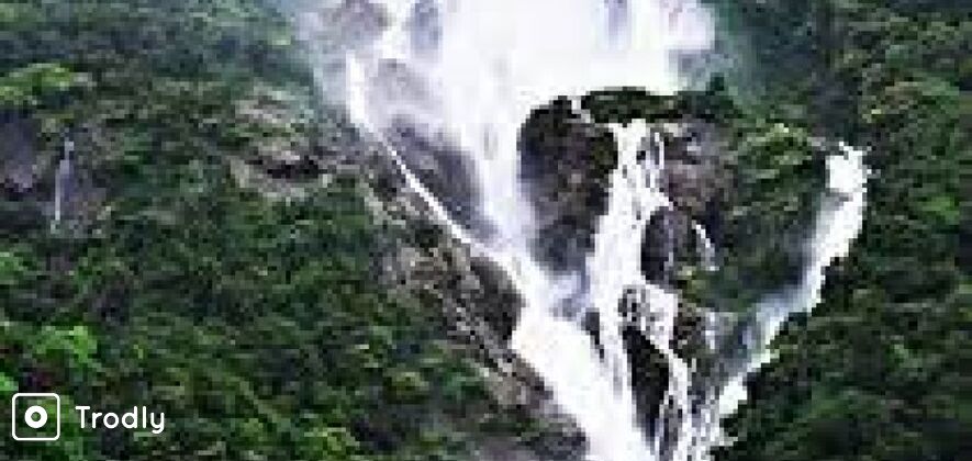 Dudhsagar Waterfall and Spice Plantation Tour from Goa