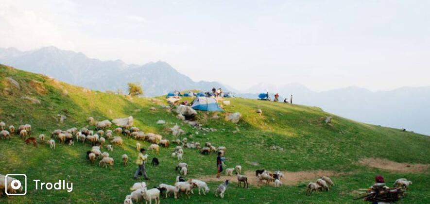 Rangthar Trek at Great Himalayan National Park