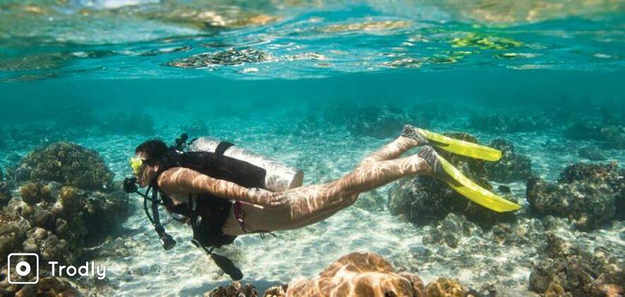 Live Aboard Dive Trip in the Pristine Andaman Islands